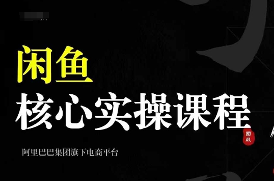 2024闲鱼核心实操课程，从养号、选品、发布、销售，教你做一个出单的闲鱼号-谷进海小站
