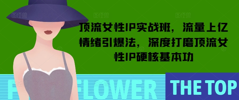 顶流女性IP实战班，流量上亿情绪引爆法，深度打磨顶流女性IP硬核基本功-谷进海小站