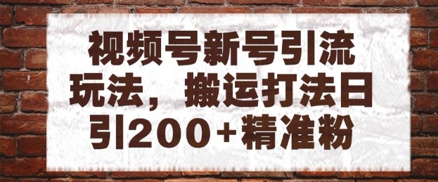 视频号新号引流玩法，搬运打法日引200+精准粉，可矩阵放大【揭秘】-谷进海小站