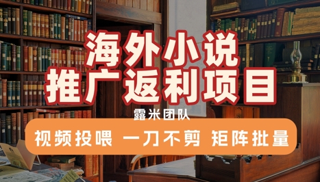 海外小说推广返利项目，视频投喂， 一刀不剪，矩阵批量-谷进海小站
