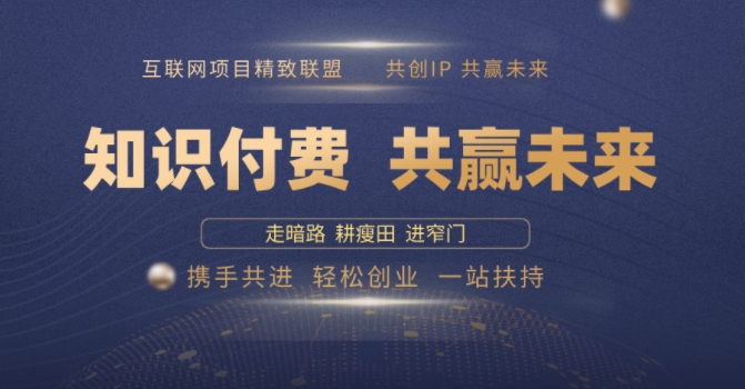别人苦寻无果，为何他们靠知识付费卖项目 2025 年轻松年入100个?【揭秘】-谷进海小站
