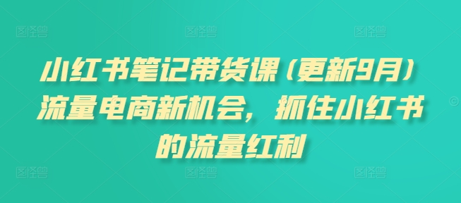 小红书笔记带货课(更新9月)流量电商新机会，抓住小红书的流量红利-谷进海小站