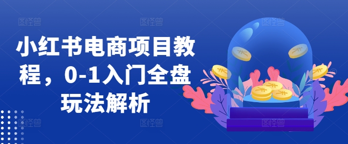 小红书电商项目教程，0-1入门全盘玩法解析-谷进海小站
