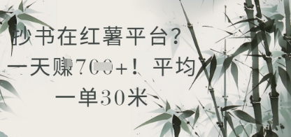 抄书在小红薯平台？平均一单30米，一天收益几张！-谷进海小站