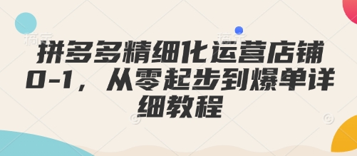 拼多多精细化运营店铺0-1，从零起步到爆单详细教程-谷进海小站