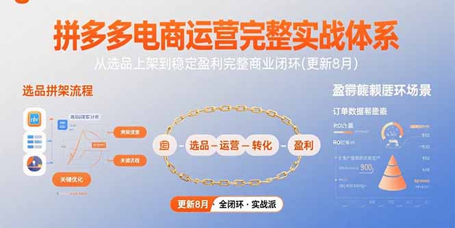 拼多多电商运营完整实战体系，从选品上架到稳定盈利完整商业闭环(更新8月-谷进海小站