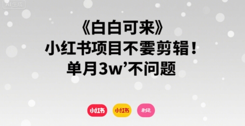 小白可来 小红书项目不需要剪辑 单月3w不是问题-谷进海小站