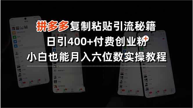 拼多多复制粘贴引流秘籍，日引400+付费创业粉，小白也能月入六位数实操…-谷进海小站