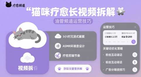 猫咪疗愈长视频拆解 &油管频道运营技巧-谷进海小站