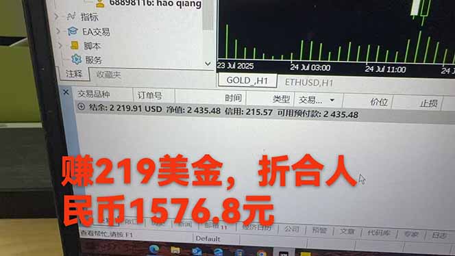 图片[2]-稳定8年的美刀搬砖项目，单人每日收益800—3000.团队4人月入10W+.可线下-谷进海小站