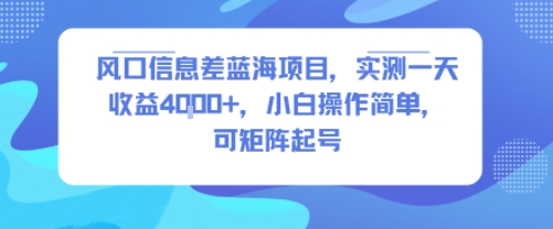 风口信息差蓝海项目，实测一天收益4k+，小白操作简单，可矩阵起号-谷进海小站
