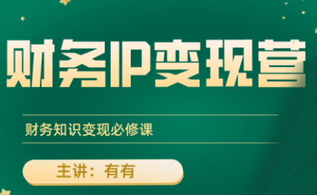 有有老师·财务IP变现营，财务知识变现必修课-谷进海小站