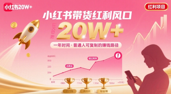 一年时间靠小红书带货项目年入20w+，最不能错的大红利项目-谷进海小站