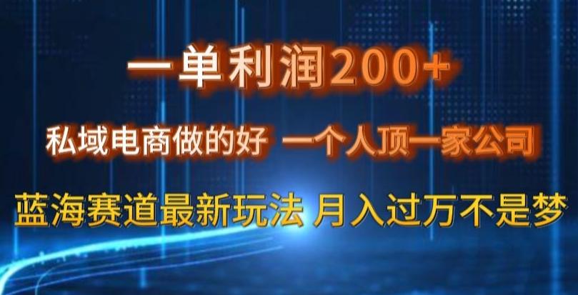 一单利润200私域电商做的好，一个人顶一家公司蓝海赛道最新玩法【揭秘】-谷进海小站