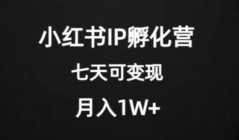 价值2000+的小红书IP孵化营项目，超级大蓝海，七天即可开始变现，稳定月入1W+-谷进海小站
