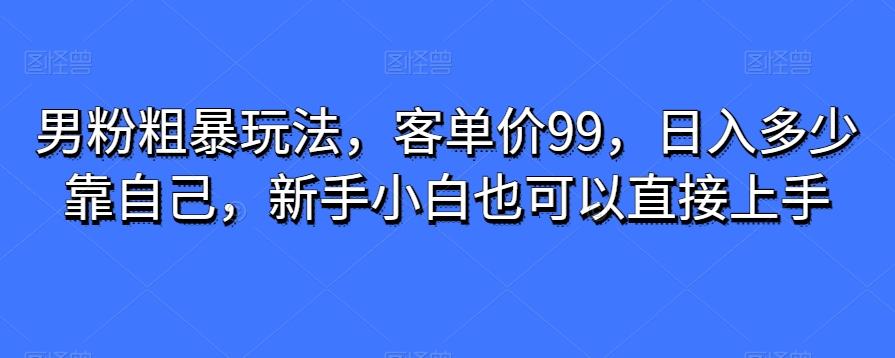 男粉粗暴玩法，客单价99，日入多少靠自己，新手小白也可以直接上手-谷进海小站