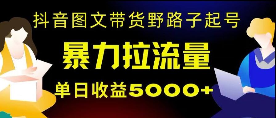 抖音图文带货暴力起号，单日收益5000+，野路子玩法，简单易上手，一部手机即可【揭秘】-谷进海小站