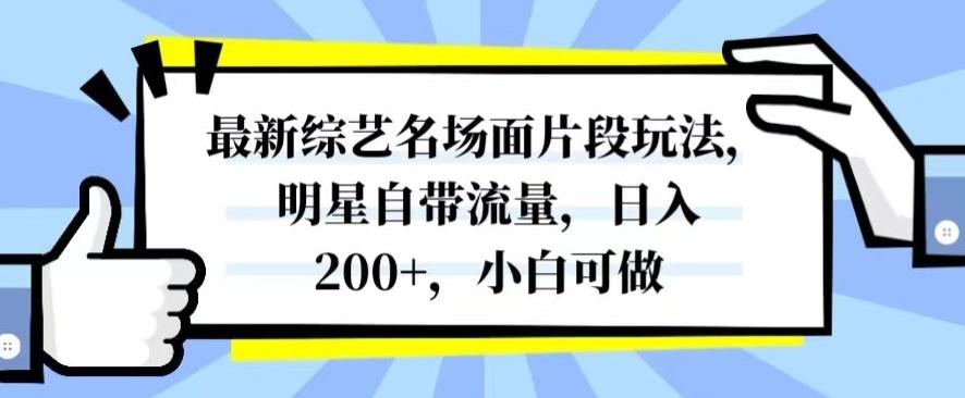 最新综艺名场面片段玩法，明星自带流量，日入200+，小白可做【揭秘】-谷进海小站