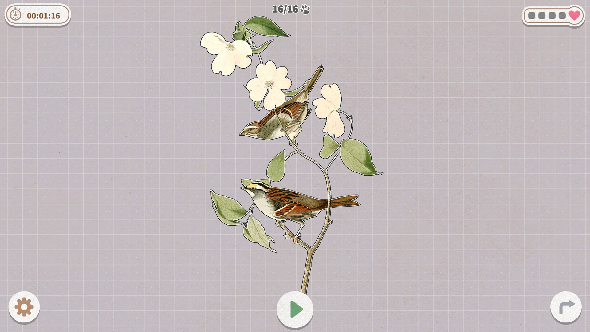 《挤在一起的鸟鸟/Birds Huddled Together》PC中文版下载-含Build.14298719-谷进海小站