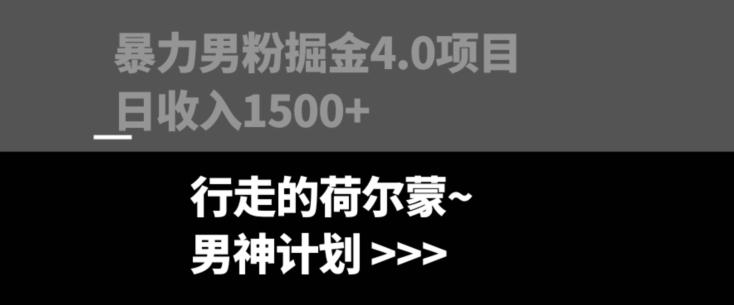 暴力男粉掘金4.0项目不违规不封号无脑复制单人操作日入1000+-谷进海小站