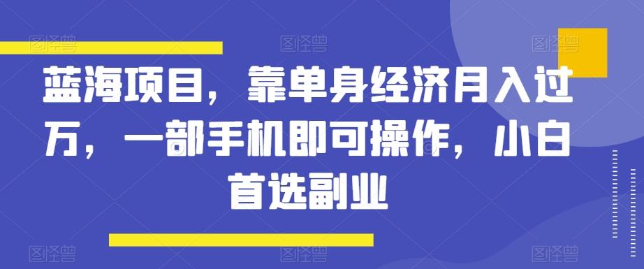 蓝海项目，靠单身经济月入过万，一部手机即可操作，小白首选副业【揭秘】-谷进海小站