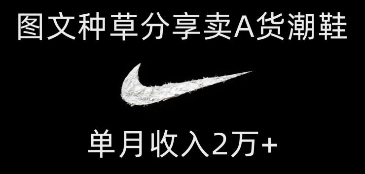 靠图文种草分享卖A货潮鞋，每天一小时，单月收入2万+【揭秘】-谷进海小站