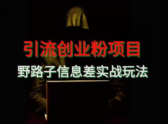 【引流创业粉】野路子信息差玩法实战教学-谷进海小站