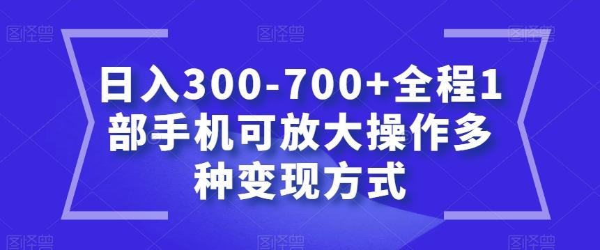 日入300-700+全程1部手机可放大操作多种变现方式【揭秘】-谷进海小站
