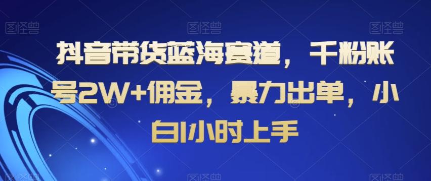 抖音带货蓝海赛道，千粉账号2W+佣金，暴力出单，小白1小时上手【揭秘】-谷进海小站