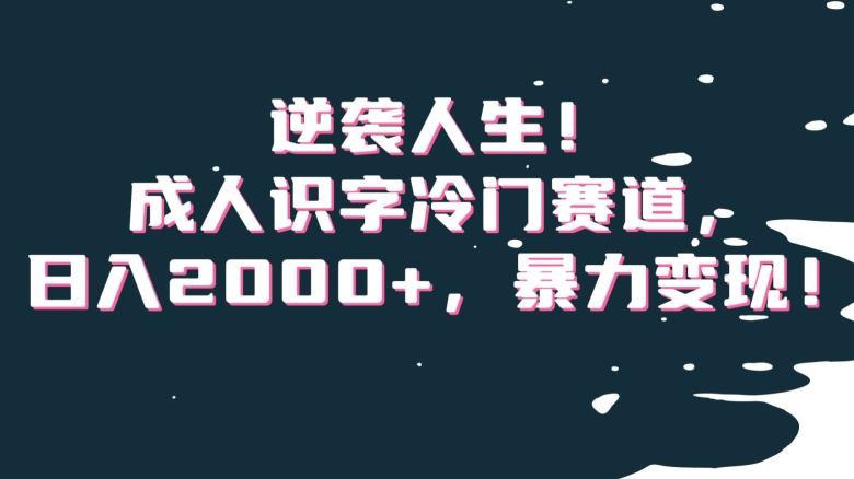 逆袭人生！成人识字冷门赛道，日入2000+，暴力变现！【揭秘】-谷进海小站