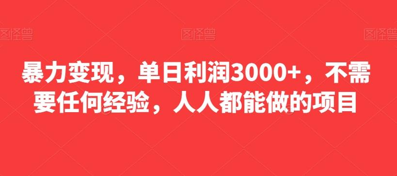 暴力变现，单日利润3000+，不需要任何经验，人人都能做的项目-谷进海小站