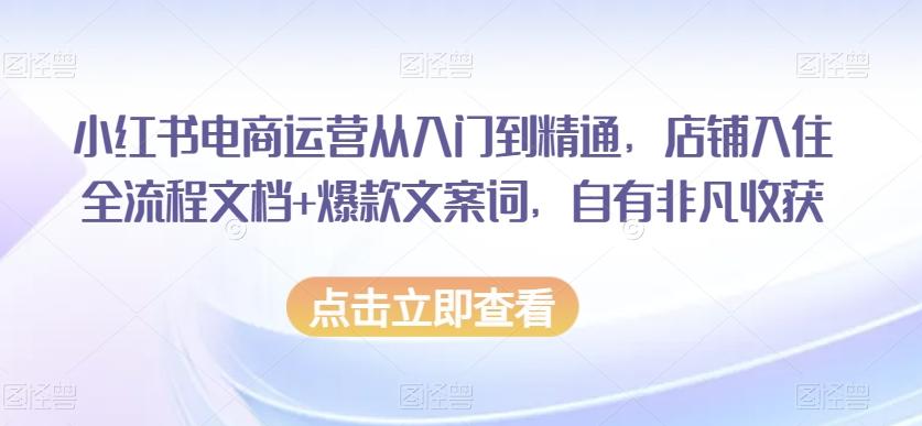 小红书电商运营从入门到精通，店铺入住全流程文档+爆款文案词，自有非凡收获-谷进海小站