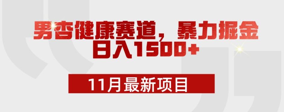 11月最新项目，男杏健康赛道，暴力掘金，日入1500+-谷进海小站