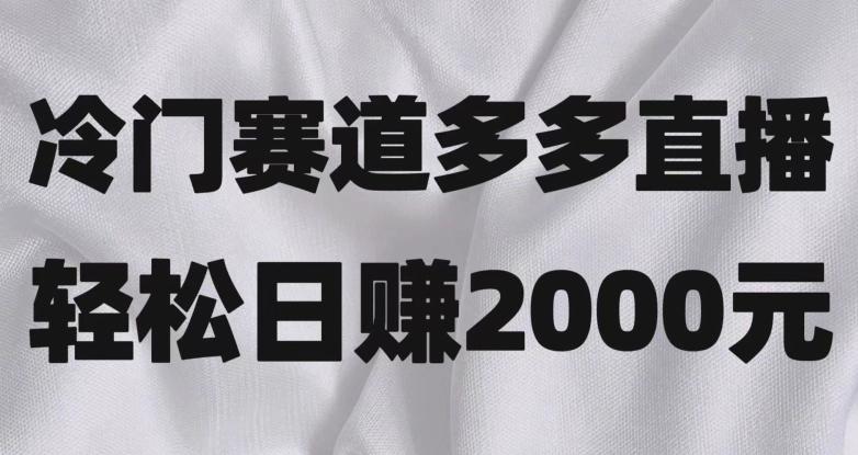 冷门赛道拼多多直播，简单念稿子，日收益2000＋【揭秘】-谷进海小站