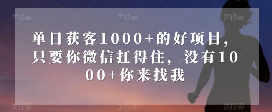 单日获客1000+的好项目，只要你微信扛得住，没有1000+你来找我【揭秘】-谷进海小站