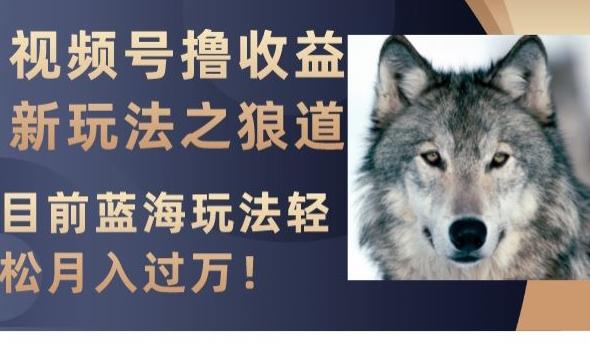 视频号撸收益新玩法之狼道，目前蓝海玩法，轻松月入过万【揭秘】-谷进海小站