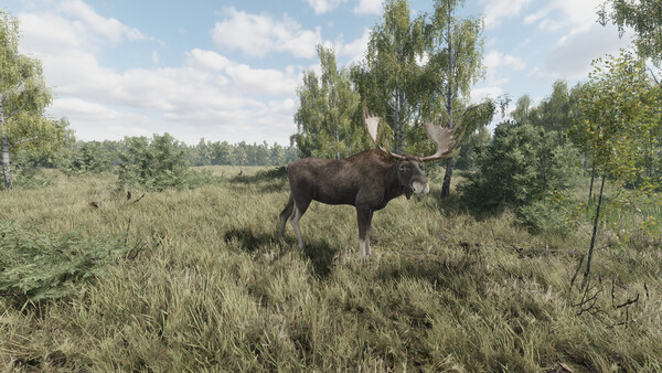 《猎捕行动/On the Hunt》PC中文版下载-含Build.20557498-谷进海小站