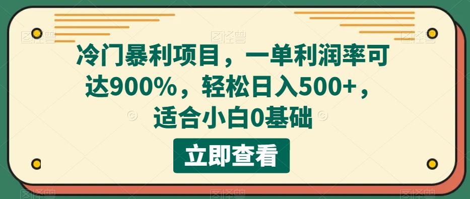 冷门暴利项目，一单利润率可达900%，轻松日入500+，适合小白0基础-谷进海小站