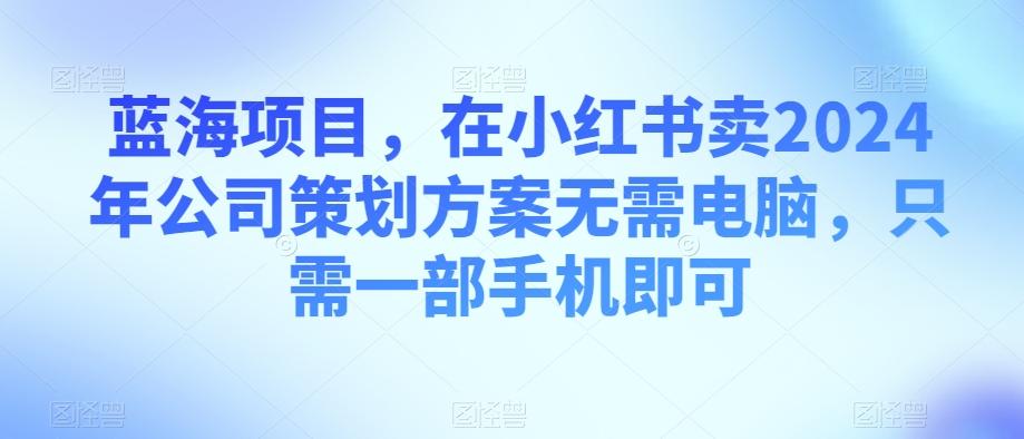 蓝海项目，在小红书卖2024年公司策划方案无需电脑，只需一部手机即可-谷进海小站