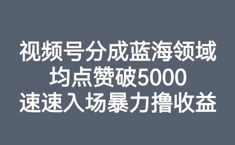 视频号分成蓝海领域，均点赞破5000，速速入场暴力撸收益-谷进海小站
