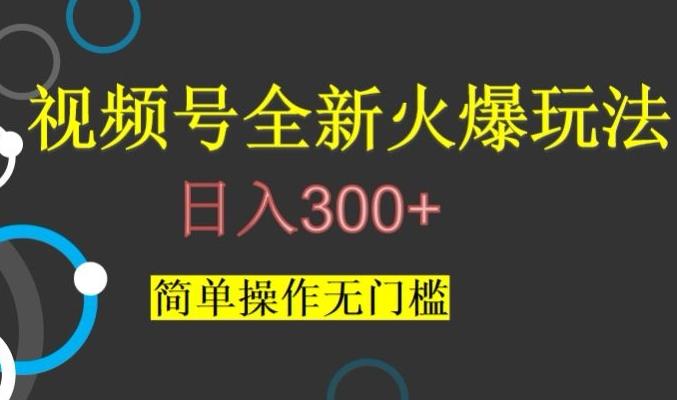 视频号最新爆火玩法，日入300+，简单操作无门槛【揭秘】-谷进海小站