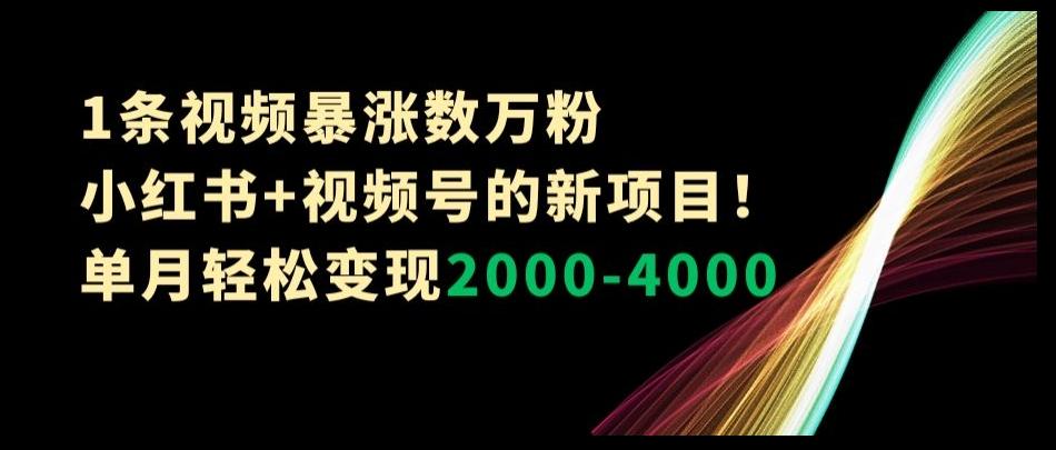 1条视频暴涨数万粉–小红书+视频号的新项目！单月轻松变现2000-4000【揭秘】-谷进海小站