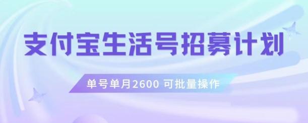 支付宝生活号作者招募计划，单号单月2600，可批量去做，工作室一人一个月轻松1w+【揭秘】-谷进海小站