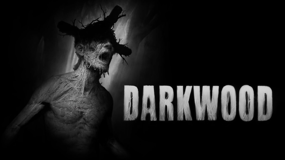 《阴暗森林 Darkwood》Switch中文版NSP下载-谷进海小站