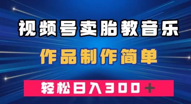 视频号卖胎教音乐，作品制作简单，一单49，轻松日入300＋-谷进海小站