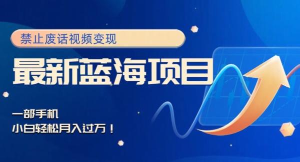 最新蓝海项目，靠禁止废话视频变现，一部手机，小白轻松月入过万！-谷进海小站