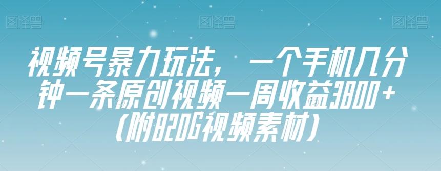 视频号暴力玩法，一个手机几分钟一条原创视频一周收益3800+（附820G视频素材）-谷进海小站