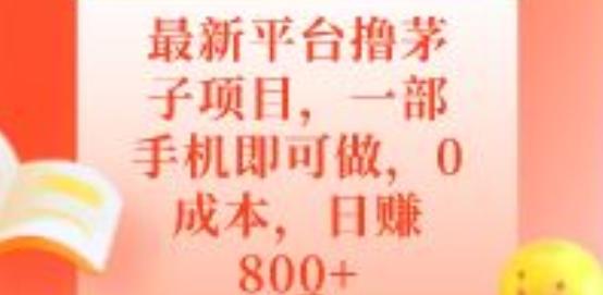 最新平台撸茅子项目，一部手机即可做，0成本，日赚800+-谷进海小站