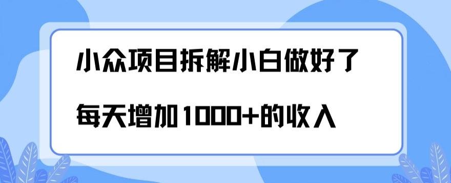 小众项目拆解，小白做好了每天可增加1000多的收入-谷进海小站