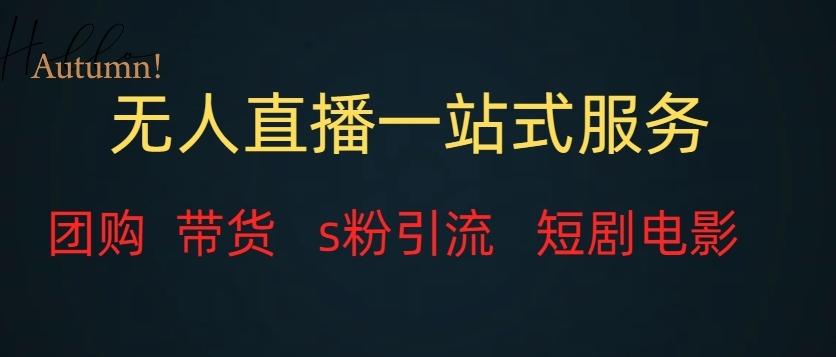 无人直播一站式服务（教程以及变现方式）-谷进海小站